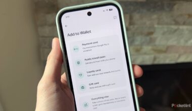 Don't use Google Wallet on your Pixel without changing these 2 settings
