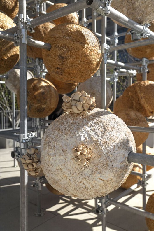 Designing with Living Matter: 5 Installations Using Bio-Based Materials and Digital Fabrication - Image 12 of 16