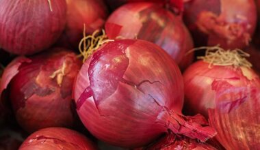 UAE Assures Temporary Price Hike in Onions and Tomatoes Amid Increased Supply