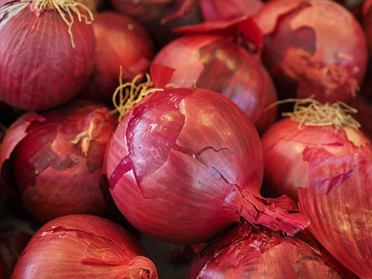 UAE Assures Temporary Price Hike in Onions and Tomatoes Amid Increased Supply