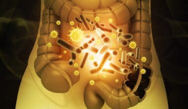 Gut bacteria linked to stronger muscles and better fitness