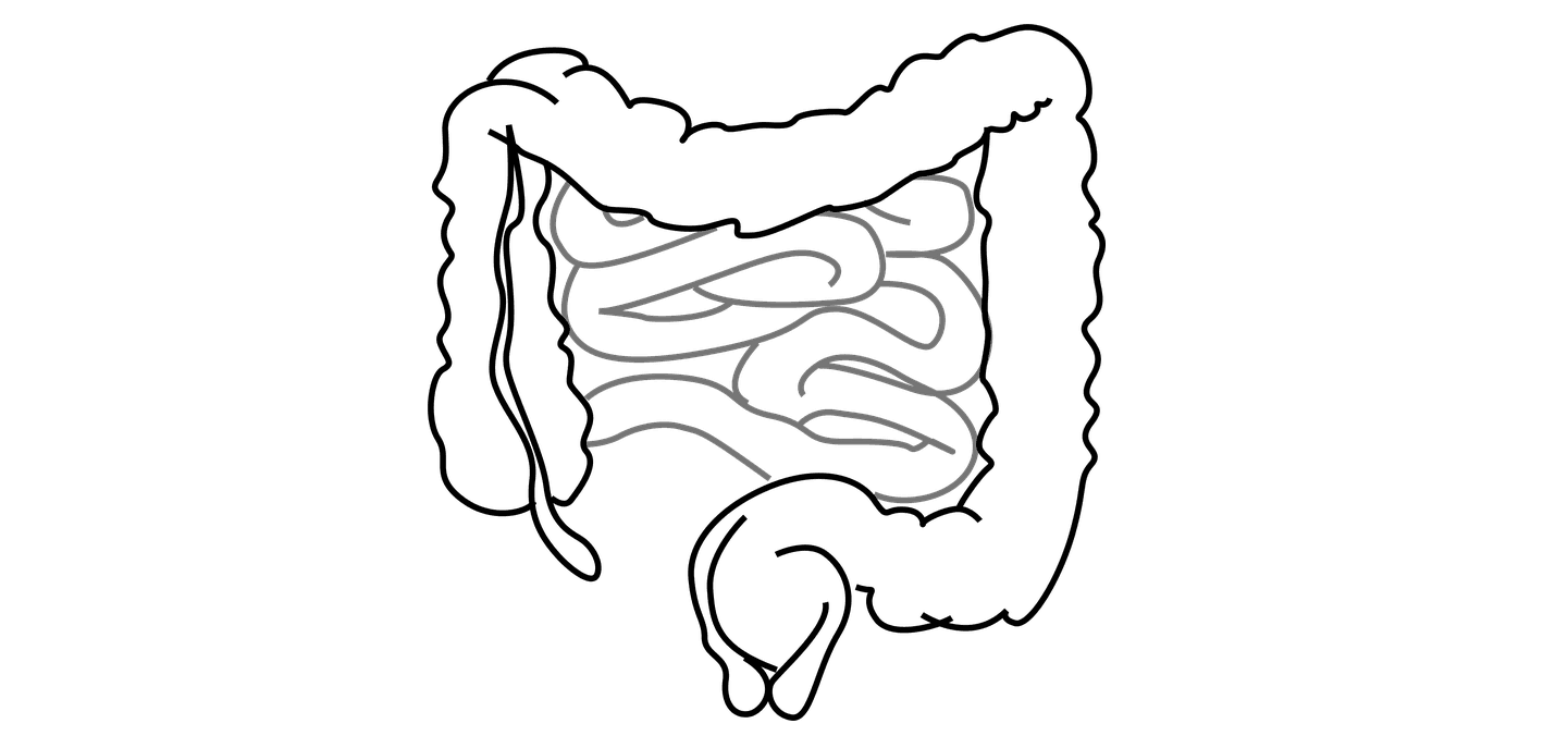 GLP-1 weight loss drugs include potential immune benefits in gut tissue