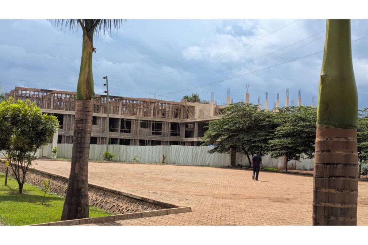 One more Tanzanian health facility to start specialized heart treatment in 2027