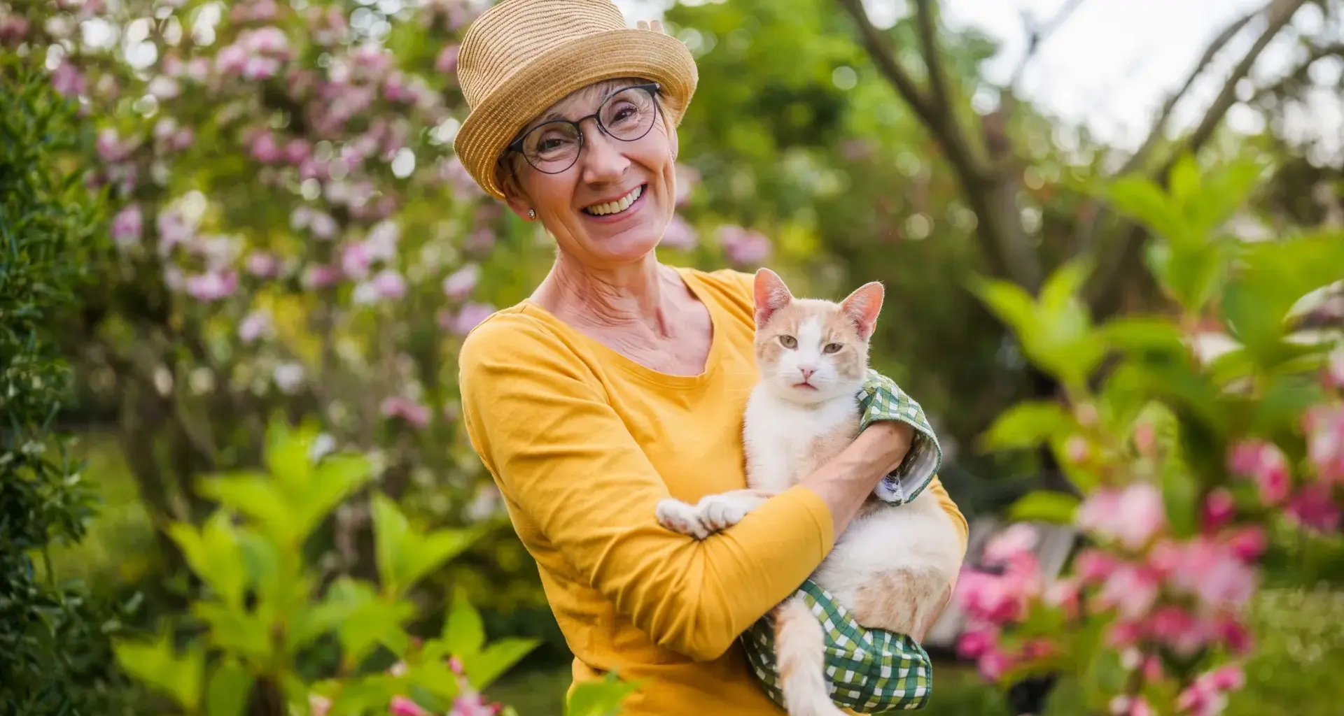 The surprising cancer link between cats and humans