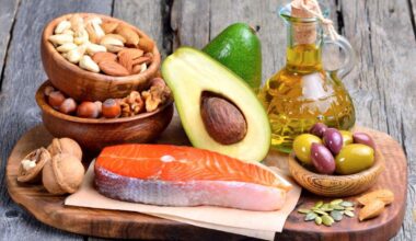 How the fats we eat shape our ability to fight disease - News