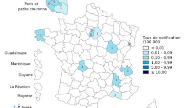 Cases down compared to 2025