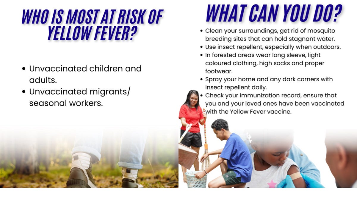 Trinidad and Tobago reports yellow fever case in monkey