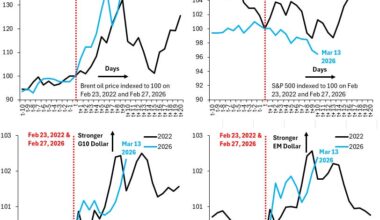 How Bad is the Fear Factor in Markets? - Robin J Brooks | Substack