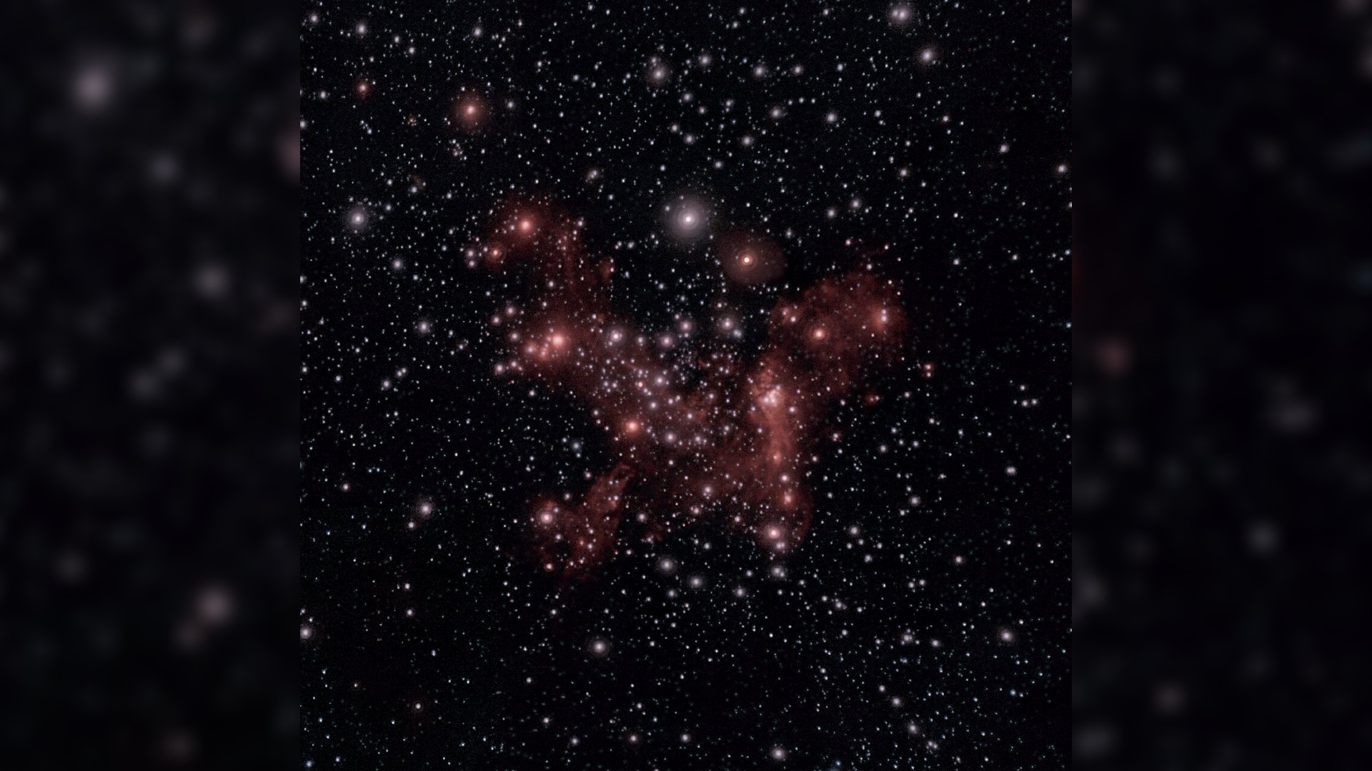 a dense cluster of bright dots of light on a black background
