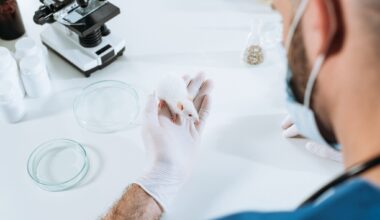 high angle view of veterinarian in medical mask and latex gloves holding white mouse near petri dishes and microscope