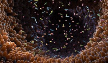 Antibiotic use linked to ‘persistent’ gut microbiome changes