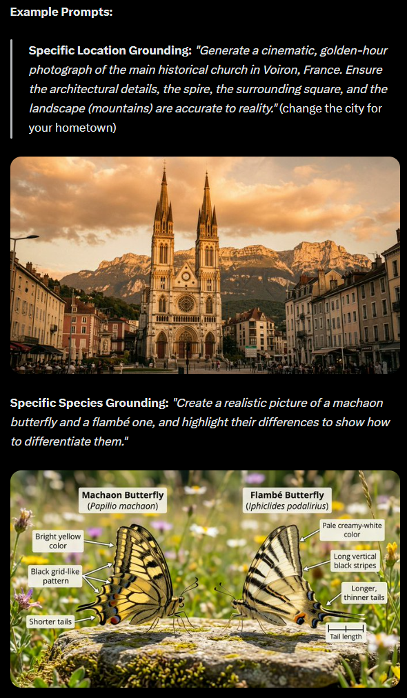 Googles Beispiele für Image Grounding. | Bild: Google