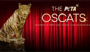 Happy Gilmore 2 and Bradley Cooper Shine in PETA’s Oscats, Marty Supreme Panned