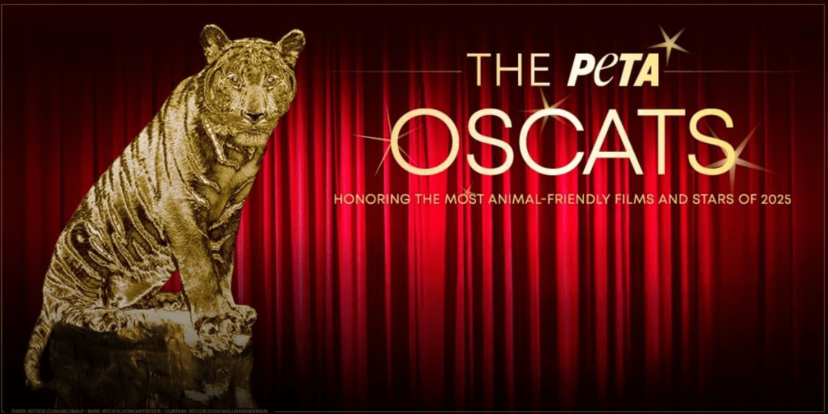 Happy Gilmore 2 and Bradley Cooper Shine in PETA’s Oscats, Marty Supreme Panned