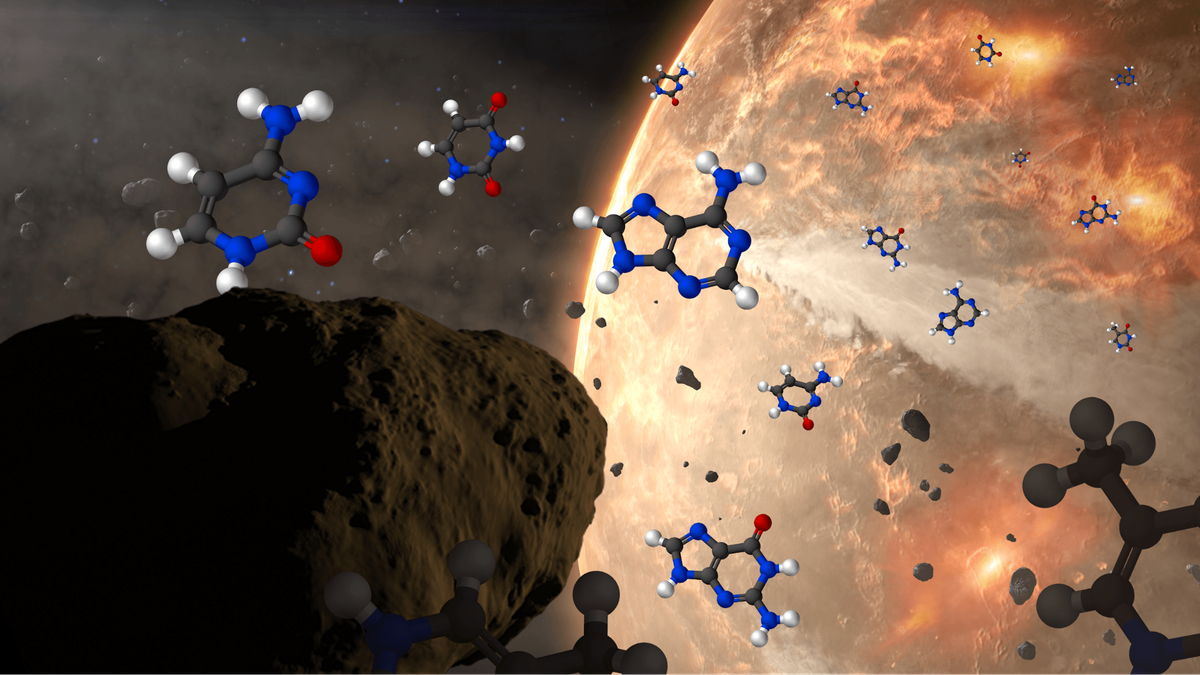 Was Life Seeded from Space? ‘Complete Set’ of DNA Ingredients Discovered on Asteroid