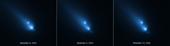 These Hubble images of the fragmenting comet C/2025 K1 (ATLAS) were taken over the course of three consecutive days: November 8, 9, and 10, 2025. Image credit: NASA / ESA / D. Bodewits, Auburn / J. DePasquale, STScI.