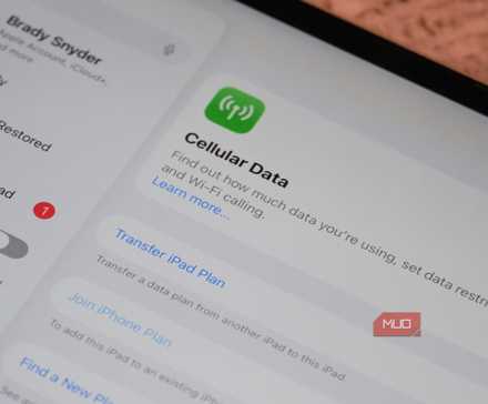 The cellular data page in Settings on an iPad Pro.