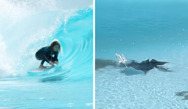 Israel Wave Pool Damaged in Missile Attacks Will Reopen This Weekend