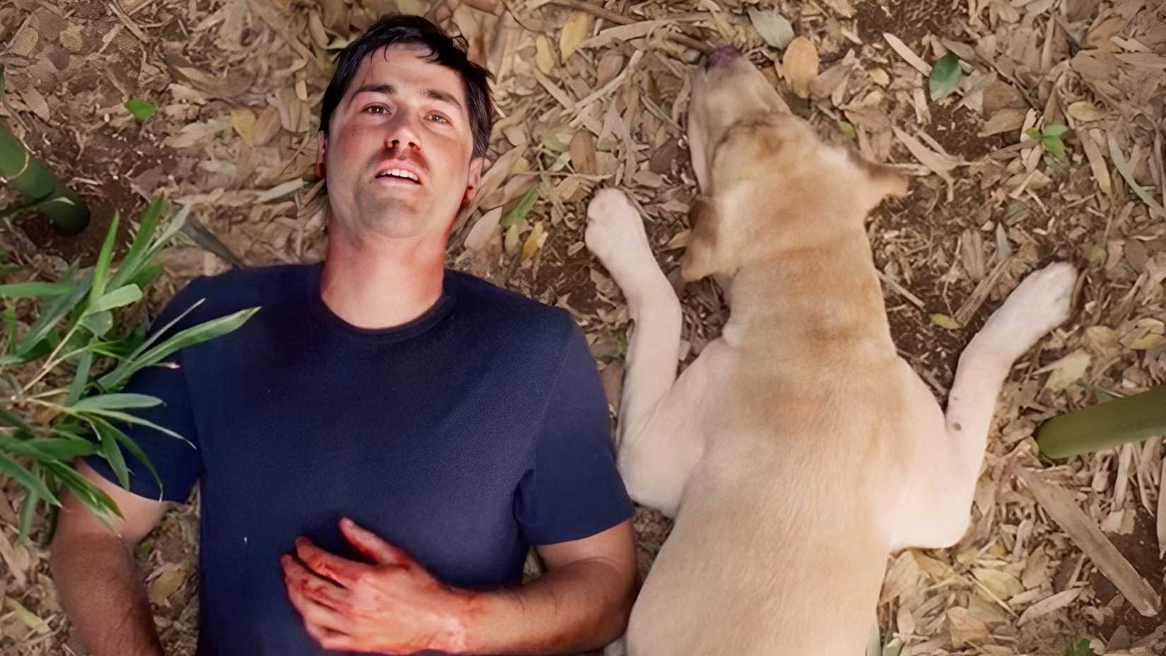 Jack and the dog in Lost series finale