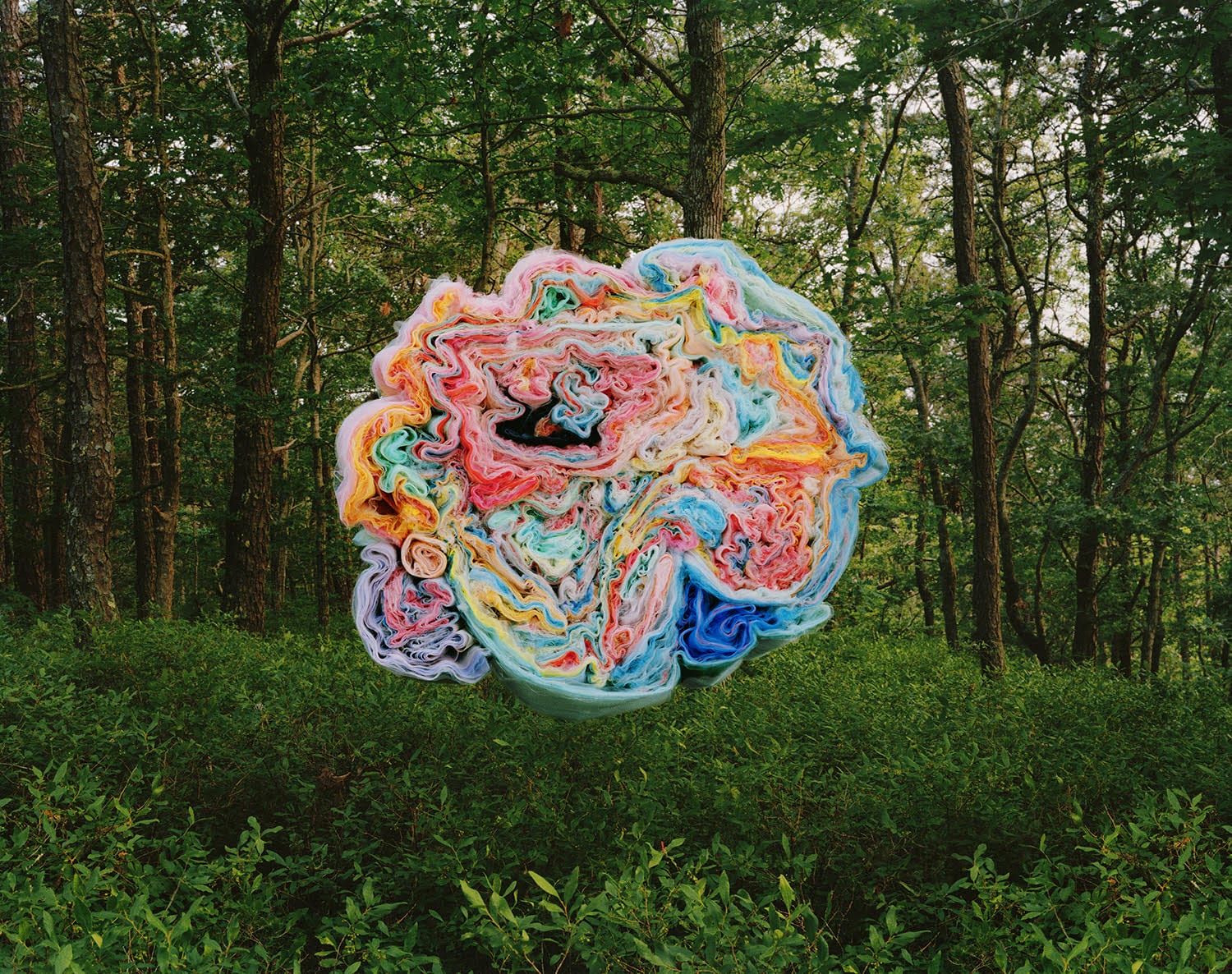 A photograph by Thomas Jackson of numerous pieces of colorful fabric that are seemingly suspended in the air amid a forest