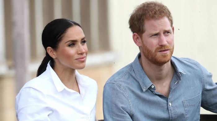 Prince Harry, Meghan receive crucial advice: 'Star power not enough'