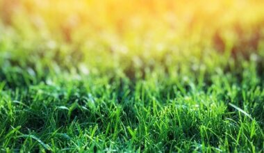 Listen live: Tipperary v Leitrim