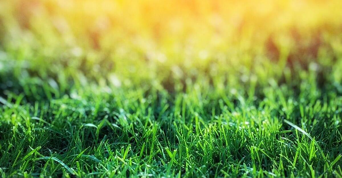 Listen live: Tipperary v Leitrim