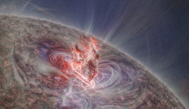 The birth of a solar prominence. NASA/SDO.