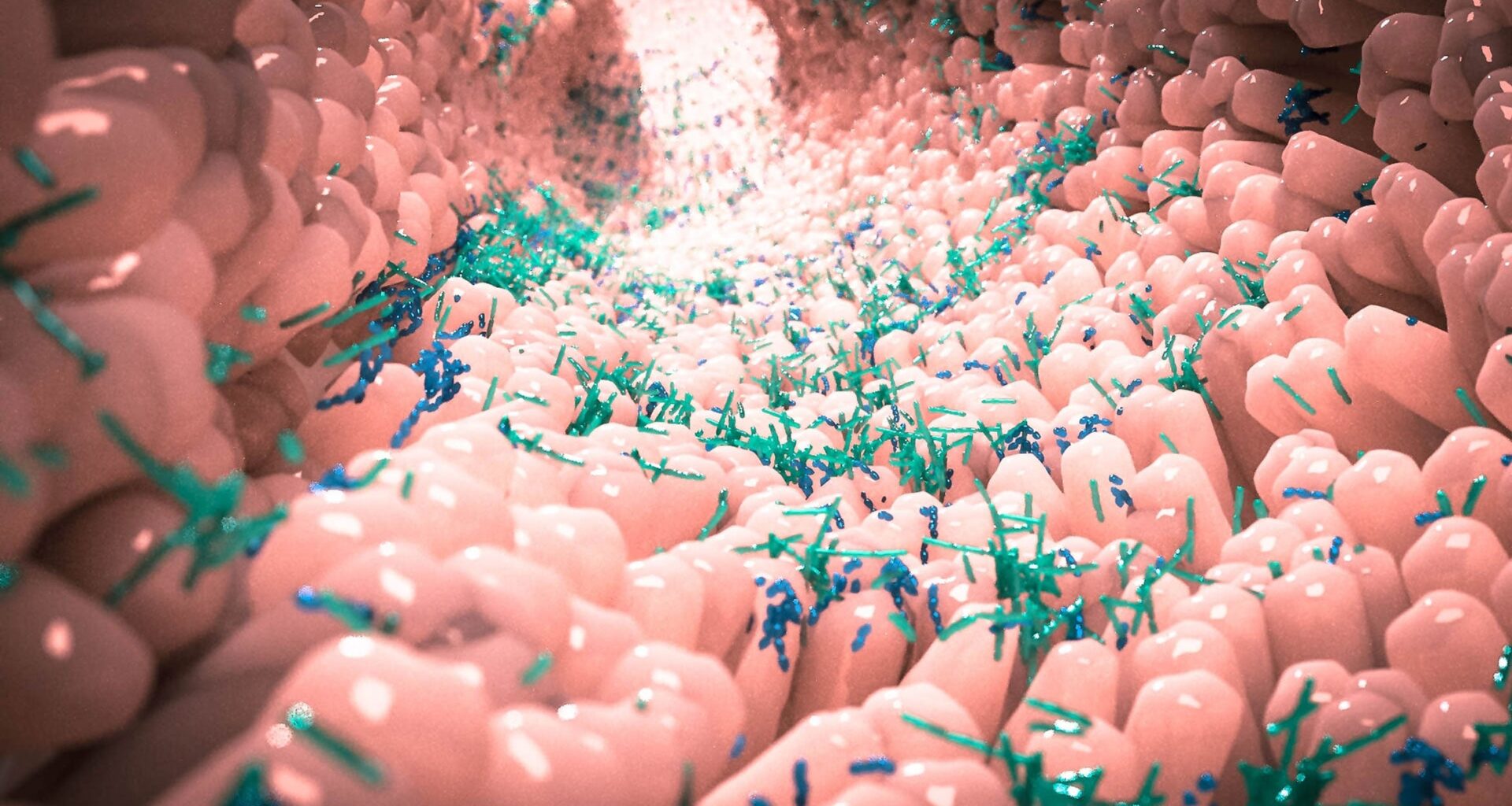 New study explores links between early-life gut microbiome and neurodevelopment