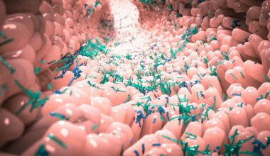 New study explores links between early-life gut microbiome and neurodevelopment