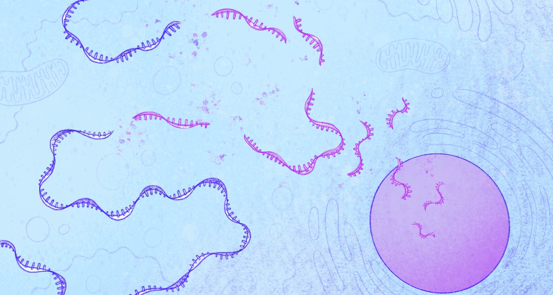 New insights into a hidden process that protects cells from harmful mutations | MIT News