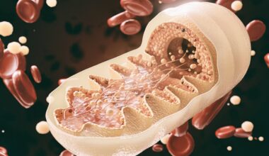 New study links the fatigue of depression to overworked cellular power plants