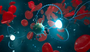 DNA robots could deliver drugs and hunt viruses inside your body