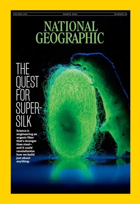 Cover of National Geographic magazine showing a close-up of a silkworm and a silk cocoon under a microscope, glowing in blue and green against a black background, with the headline “The Quest for Super-Silk.”.