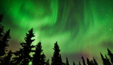 Northern Lights over Alaska. Credit: Cweimer4 / Getty Images