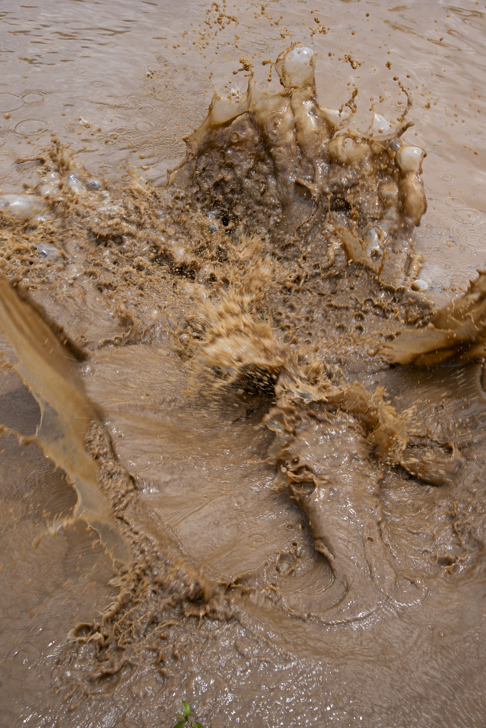 Close-up of muddy water splashing energetically, creating dynamic ripples and bubbles. The scene conveys a chaotic and lively movement