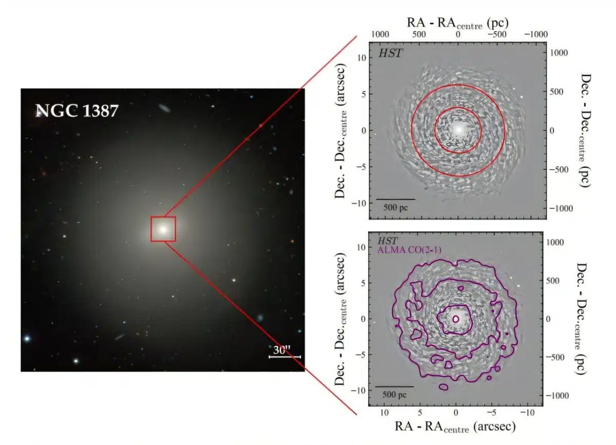 Observations Explore G
