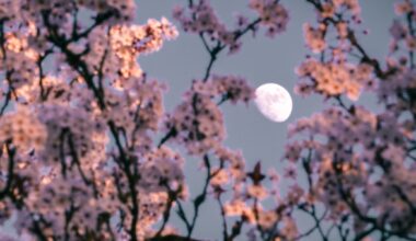 The stargazing gear you need for April 2026