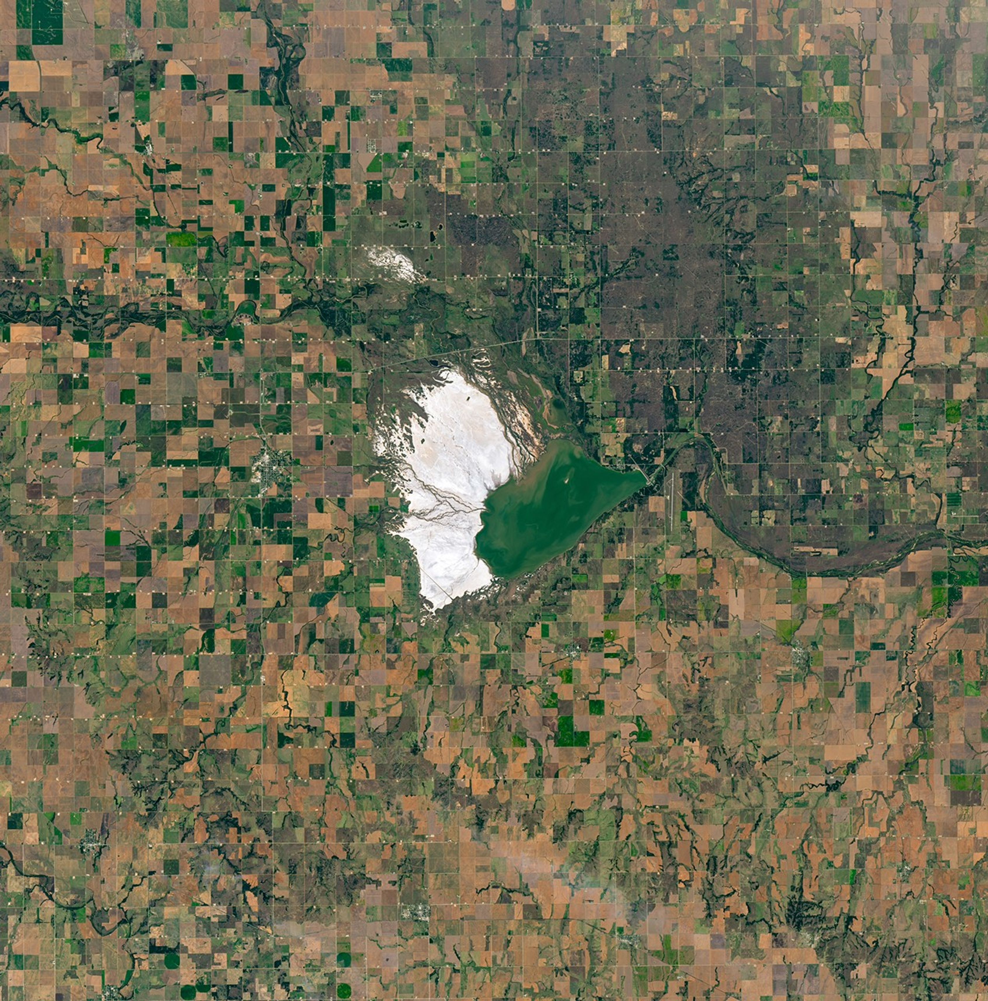 The Great Salt Plains in Oklahoma occupy a roughly triangular area surrounded by agricultural fields. Several streams run through an expanse of bright salt that covers the western side, and a lake with green-tan water fills the eastern corner behind a dam.