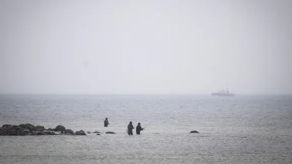 Ein Schiff der Wasserschutzpolizei sucht die Ostsee nach einem Wal ab.