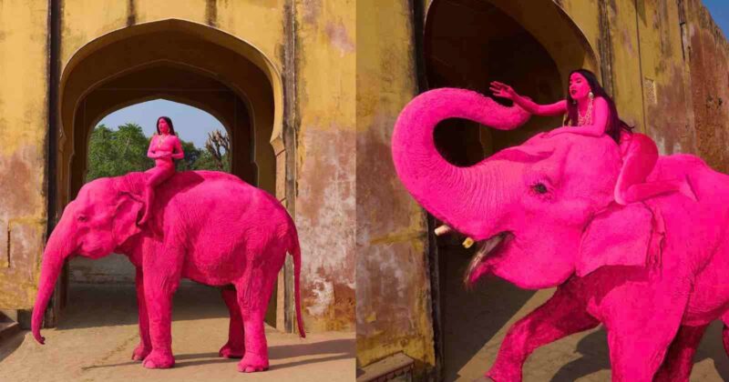 A woman wearing pink clothes sits atop a bright pink elephant, passing through an arched doorway with yellow walls, shown from two different angles.