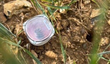 Plant-derived cellulose is a great tool for monitoring soil health