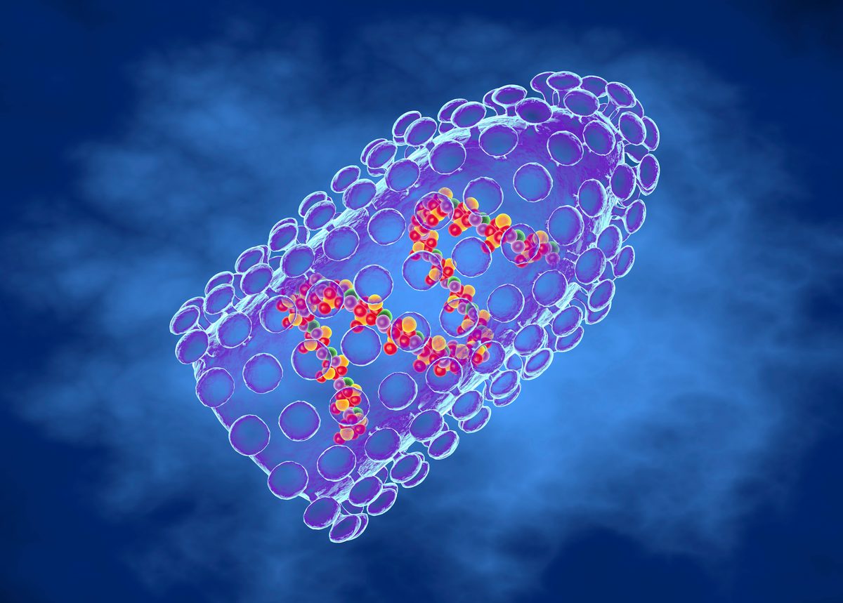 Computer illustration of the bullet-shaped rabies virus, a member of the Rhabdoviridae family. The virus has a protein coat or capsid (blue), which is made up of helically arranged subunits called capsomeres. Within the coat is the genetic material, which in this virus is single-stranded RNA. The rabies virus is transmitted to humans from an infected animal bite. Symptoms appear after an incubation period of 10 days to 1 year and include fever, breathing difficulties, muscle spasms, and hydrophobia.