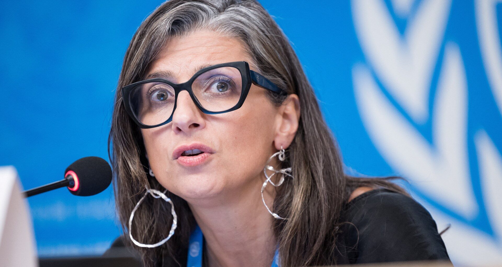 Israel systematically torturing Palestinians in custody, says UN expert | Israel-Palestine conflict News