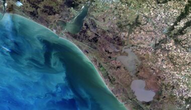 Satellite image of coastal Louisiana showing sediment plumes entering the Gulf of Mexico near river outlets, with surrounding wetlands and agricultural land patterns along the coastline.