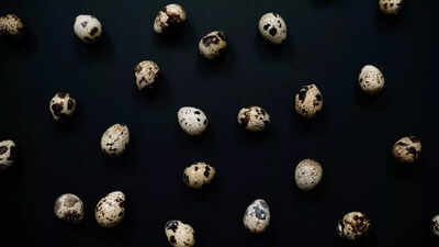 Scientists uncover ‘space glass’ in Brazil linked to a 6-million-year-old meteorite impact