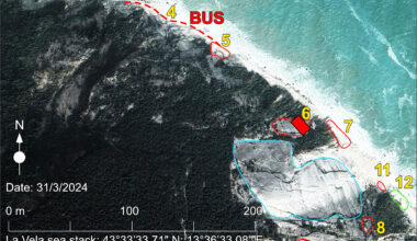 Hikers find sea turtle stampede tracks dating back 80 million years