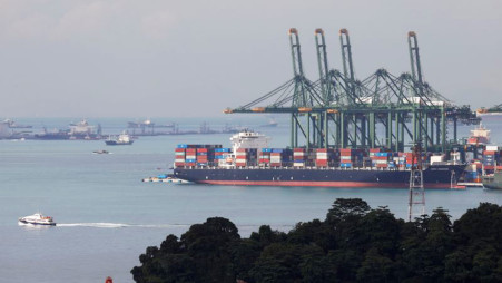 A container ship docks at Pasir Panjang terminal in Singapore November 17, 2020. REUTERS/Edgar Su
