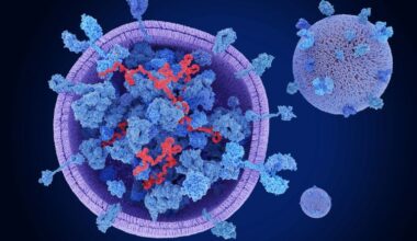 Nanoparticle-exosome innovation could enhance cell therapy manufacturing