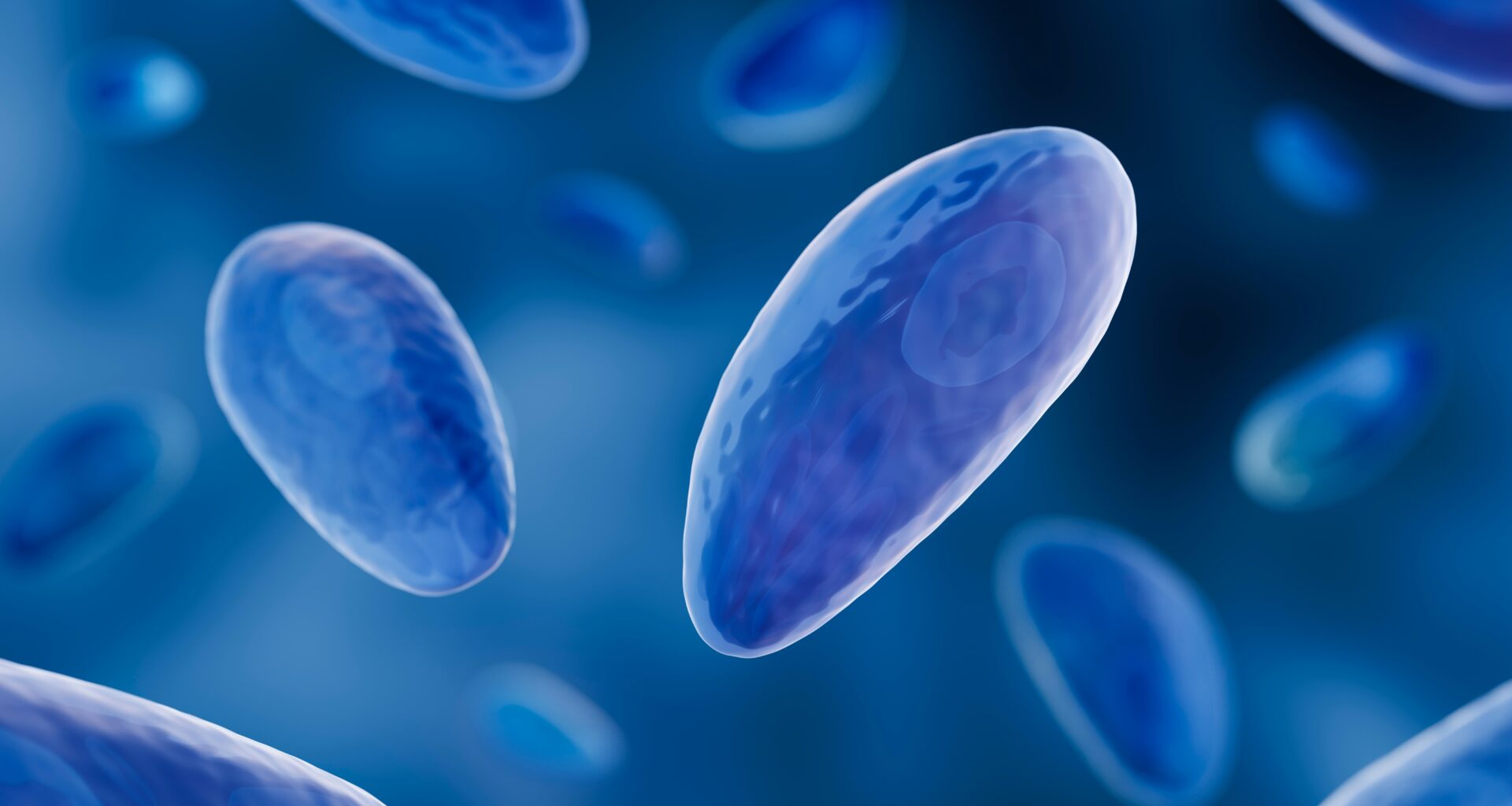 Toxoplasma cell cycle mapped for next-generation therapies